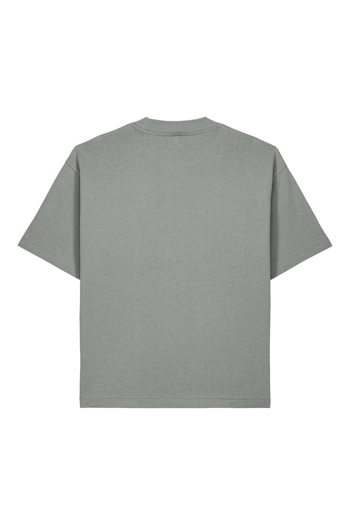 Tricou Arkon print Perfect View Misty Grey - spate