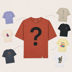 Mystery Tee | Model Briz