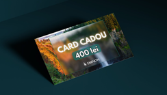 e-Card Cadou (virtual) - 400 lei