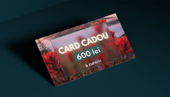 e-Card Cadou (virtual) - 600 lei