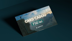 e-Card Cadou (virtual) - 750 lei